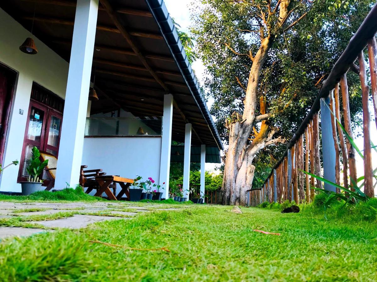 אלה Rainbow Sky Cottage מראה חיצוני תמונה